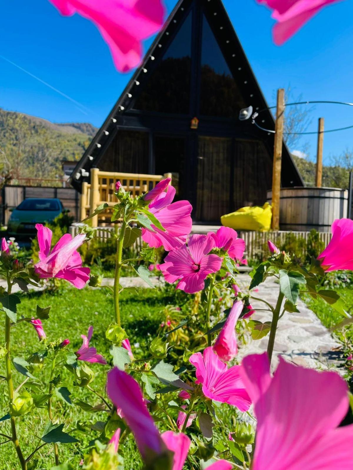 Borjomi Story Villa Buitenkant foto